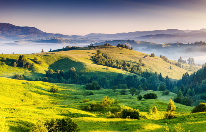Green country landscape