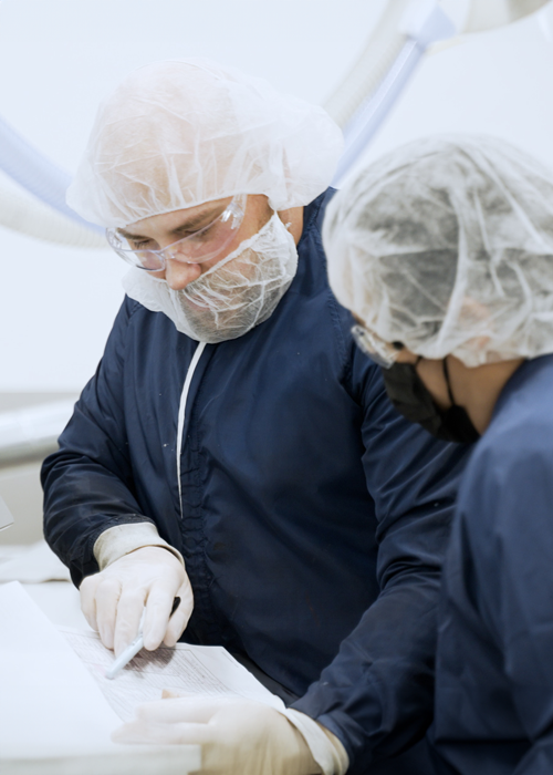 Employees in protection clothes