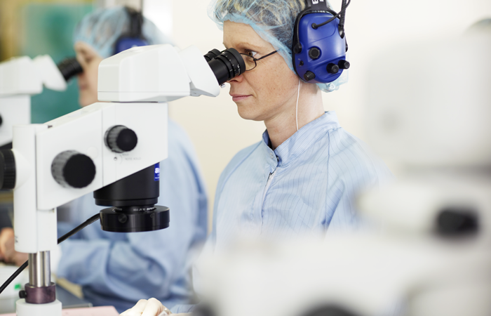 Employees looking in microscopes