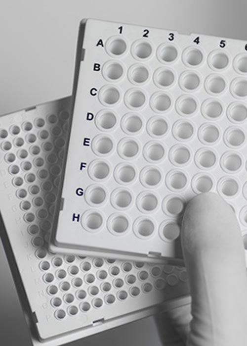 TreffLab PCR-qPCR products