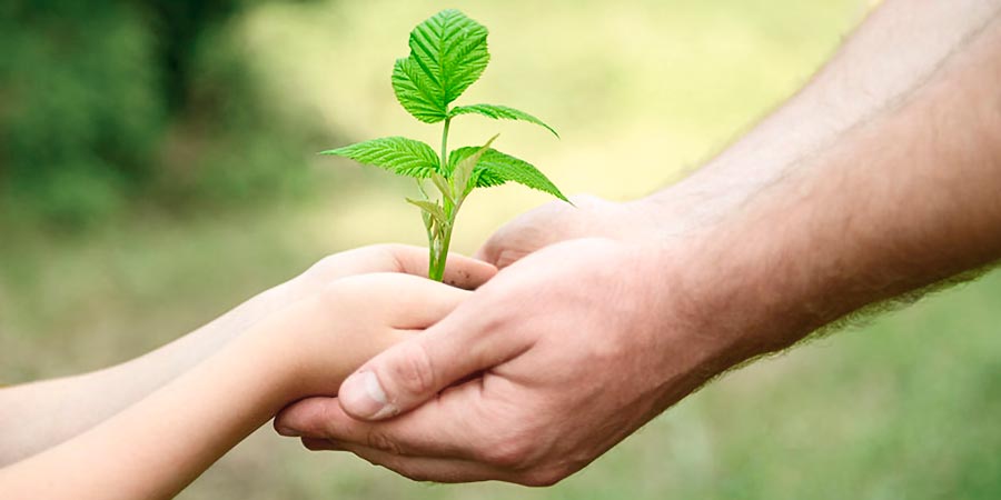 Nolato Sustainability - man and child holding green plant