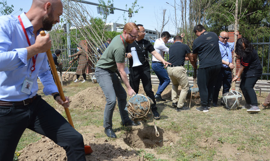 Nolato employees planting trees