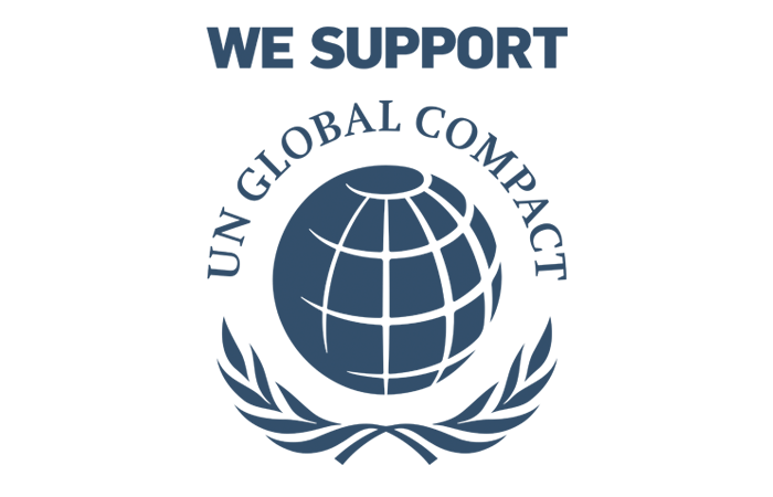 UN Global goals logo