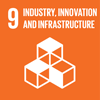 UN Global goals icon no 9