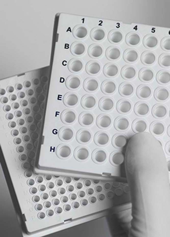 TreffLab PCR-qPCR products