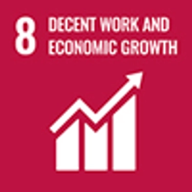 UN Global goals icon no 8