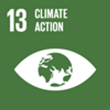 UN Global goals icon no 13